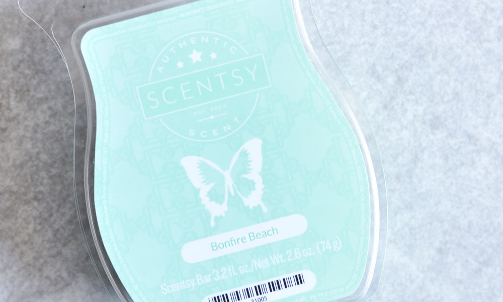 BBW Summer Bonfire Dupe - Scentsy Bonfire Beach - Melting With Michelle