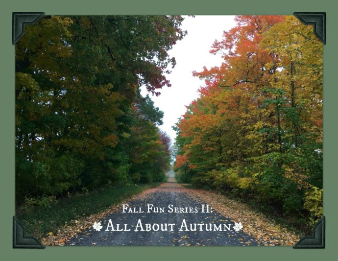 Fall Fun Series: All About Autumn | Festive Fall Tag