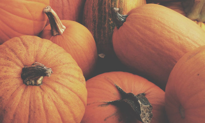 Fall Fun Series | Plethora of Pumpkin