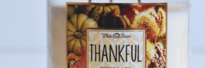 Fall Fun Series | Thanksgiving Traditions